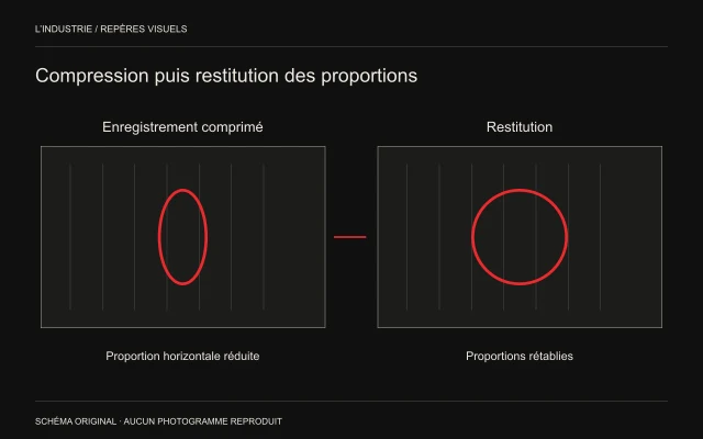 Une ellipse verticale dans l’image comprimée devient un cercle dans l’image restituée.